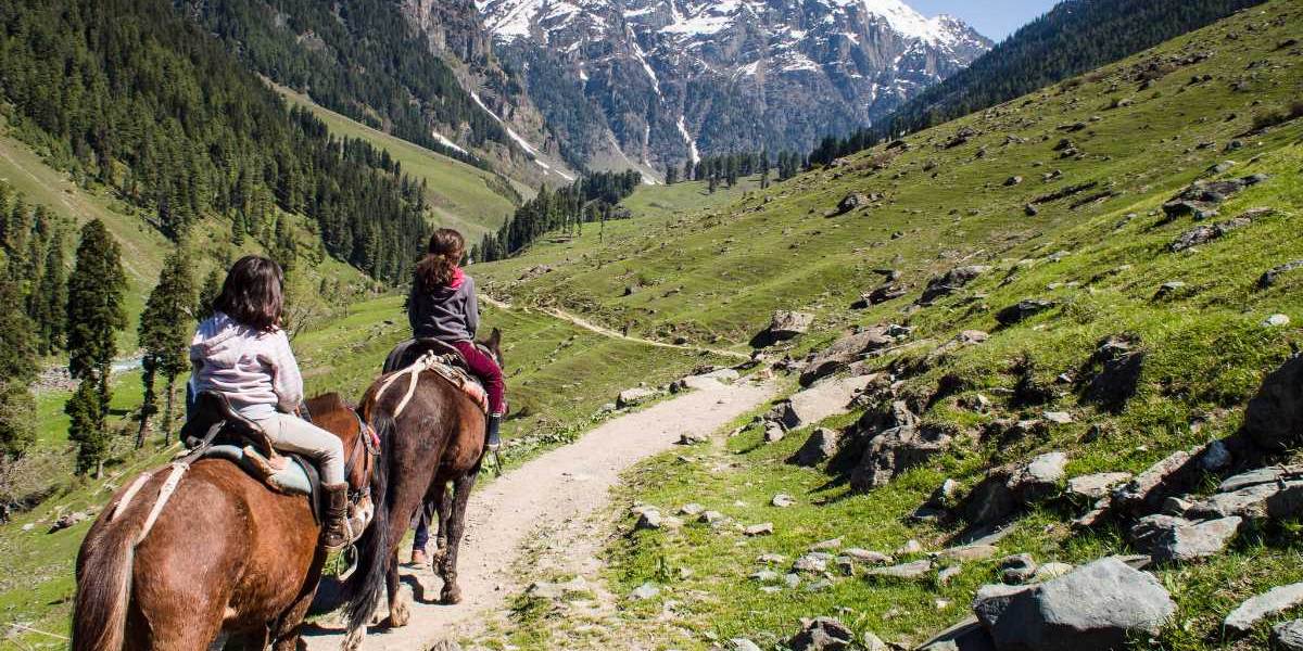 Golden Triangle with Kashmir 11 Days Package