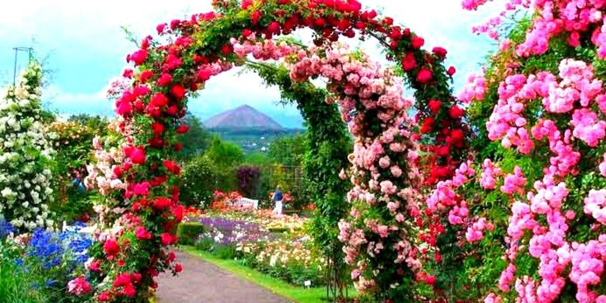 Amritsar Dharamshala Manali Leh Kargil Kashmir 19 Days Package