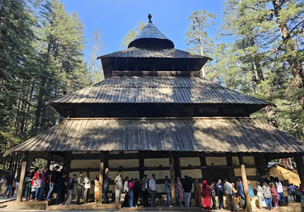 Manali Shimla 7 Days Package