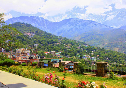 Manali Shimla 7 Days Package