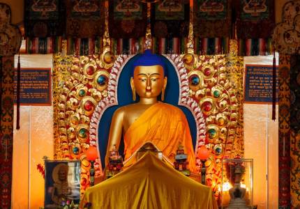 Amritsar Dharamshala Manali Shimla 8 Days Package