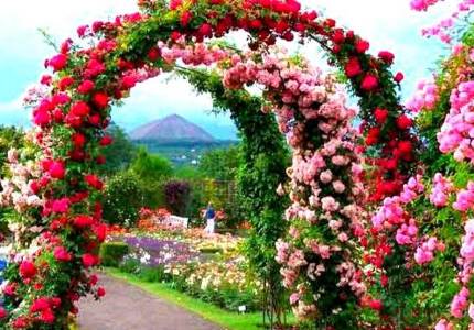 Chandigarh 4 Days Package